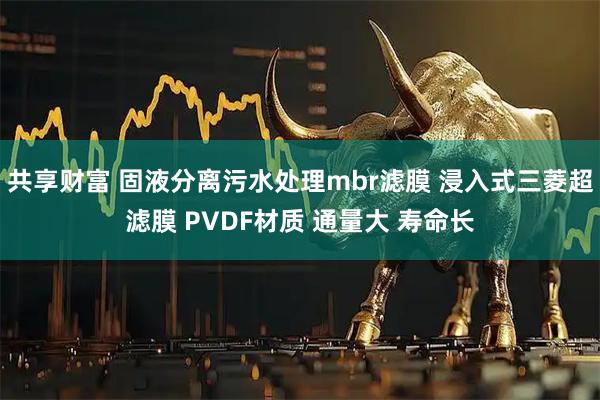 共享财富 固液分离污水处理mbr滤膜 浸入式三菱超滤膜 PVDF材质 通量大 寿命长