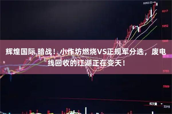 辉煌国际 暗战！小作坊燃烧VS正规军分选，废电线回收的江湖正在变天！