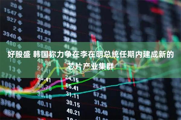 好股盛 韩国称力争在李在明总统任期内建成新的芯片产业集群